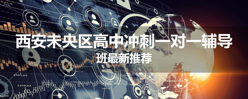 西安未央区高中冲刺一对一辅导班最新推荐