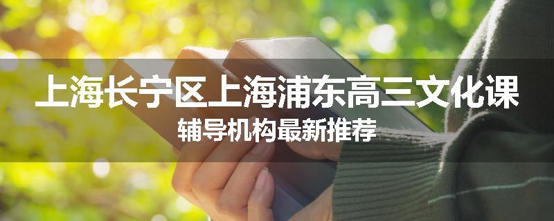 上海长宁区上海浦东高三文化课辅导机构最新推荐