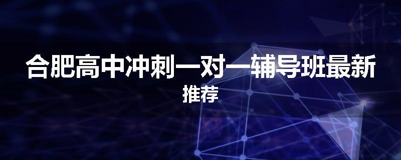 合肥高中冲刺一对一辅导班最新推荐