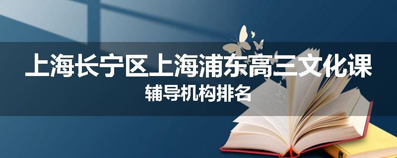 上海长宁区上海浦东高三文化课辅导机构排名