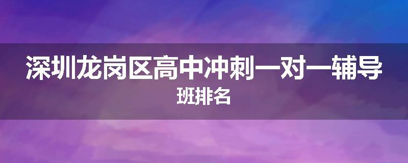 深圳龙岗区高中冲刺一对一辅导班排名