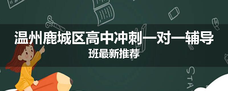 温州鹿城区高中冲刺一对一辅导班最新推荐