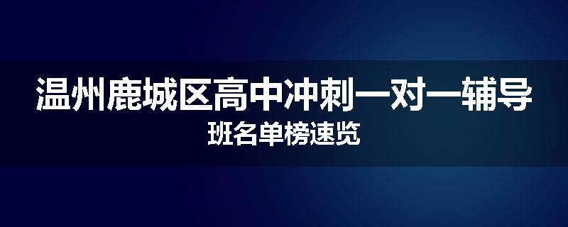 温州鹿城区高中冲刺一对一辅导班名单榜速览