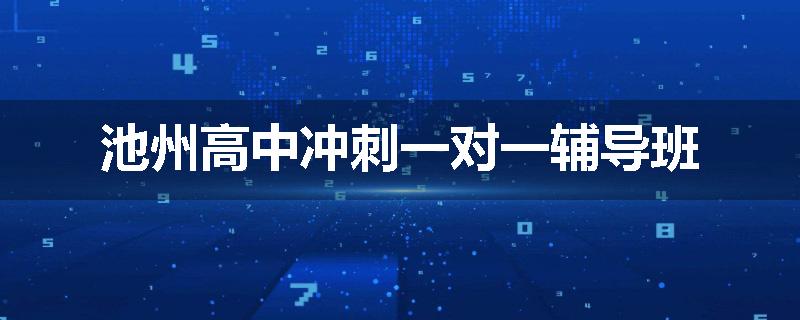 池州高中冲刺一对一辅导班