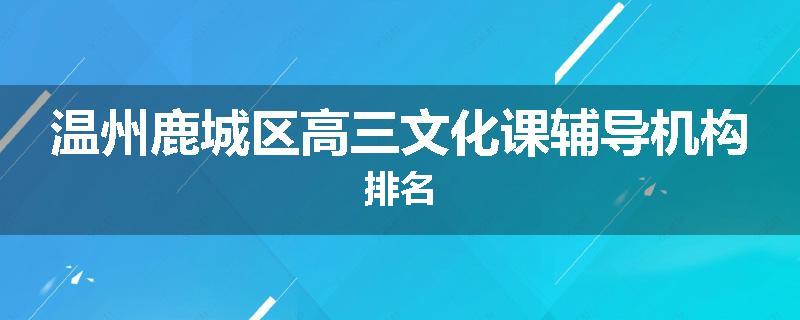 温州鹿城区高三文化课辅导机构排名