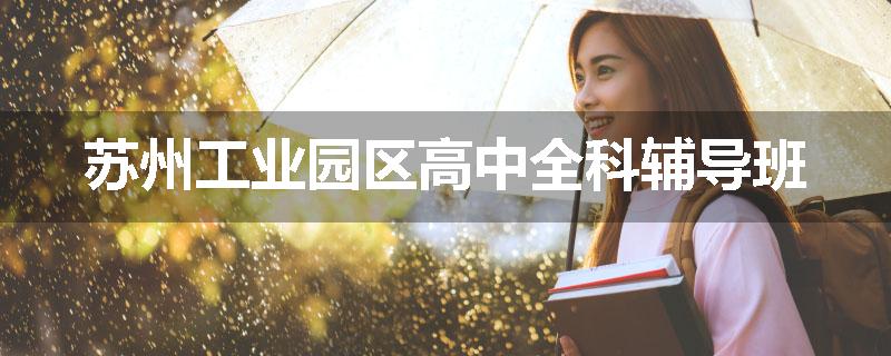 苏州工业园区高中全科辅导班