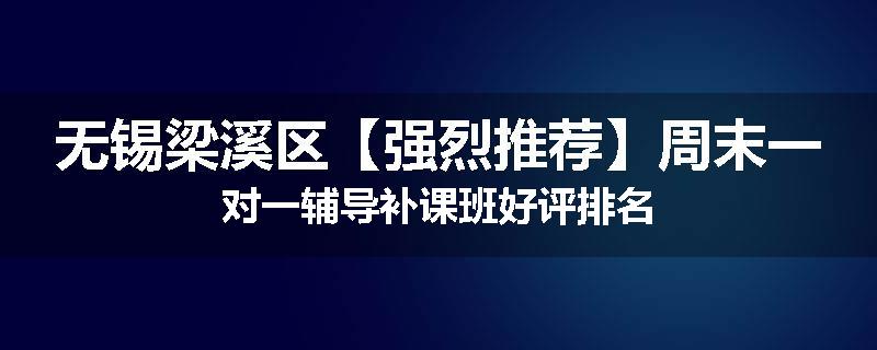 无锡梁溪区【强烈推荐】周末一对一辅导补课班好评排名