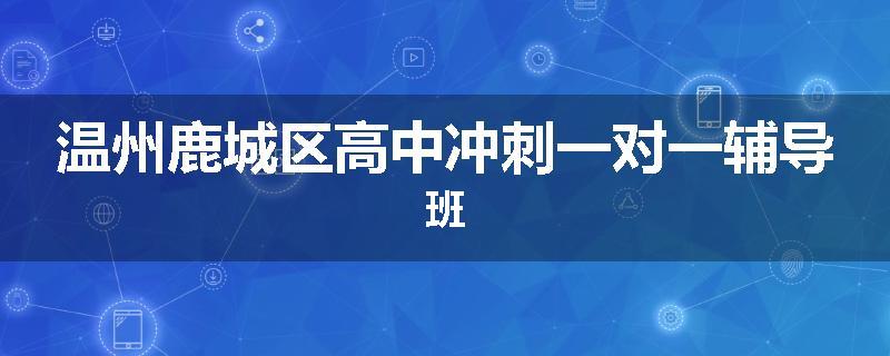 温州鹿城区高中冲刺一对一辅导班
