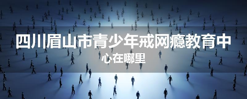 四川眉山市青少年戒网瘾教育中心在哪里