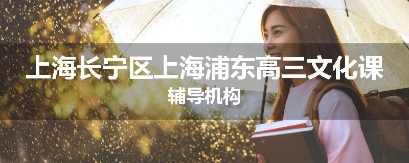 上海长宁区上海浦东高三文化课辅导机构