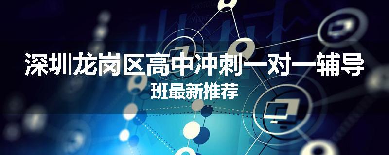 深圳龙岗区高中冲刺一对一辅导班最新推荐