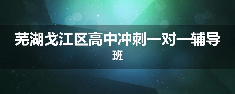 芜湖戈江区高中冲刺一对一辅导班
