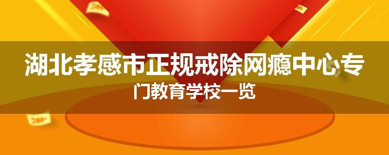 湖北孝感市正规戒除网瘾中心专门教育学校一览