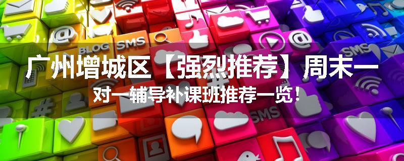 广州增城区【强烈推荐】周末一对一辅导补课班推荐一览！