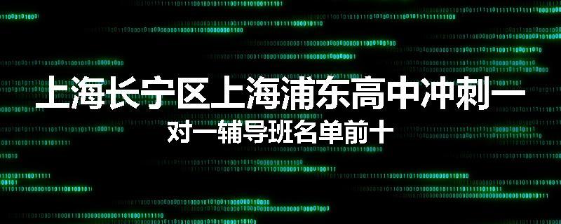 上海长宁区上海浦东高中冲刺一对一辅导班名单前十