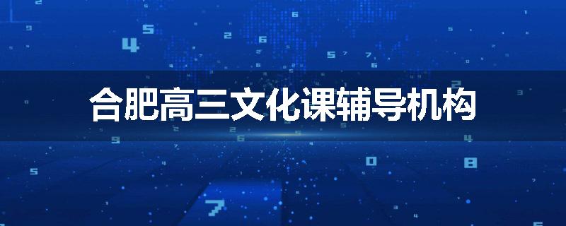 合肥高三文化课辅导机构