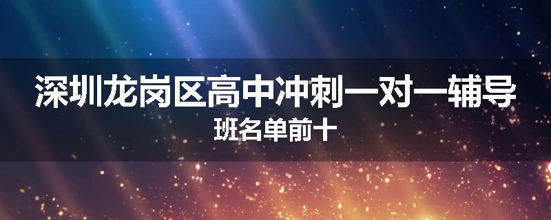 深圳龙岗区高中冲刺一对一辅导班名单前十