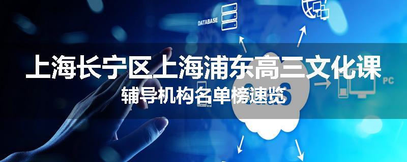 上海长宁区上海浦东高三文化课辅导机构名单榜速览