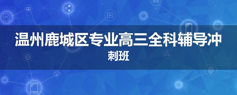 温州鹿城区专业高三全科辅导冲刺班
