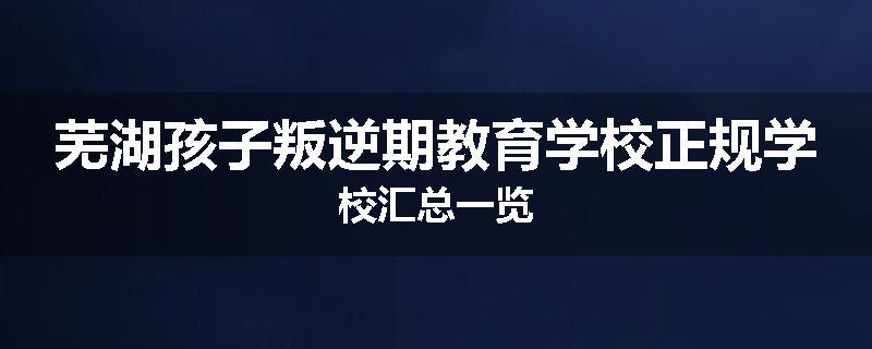 芜湖孩子叛逆期教育学校正规学校汇总一览