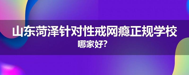 山东菏泽针对性戒网瘾正规学校哪家好？
