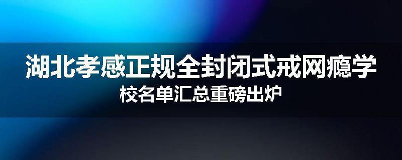 湖北孝感正规全封闭式戒网瘾学校名单汇总重磅出炉