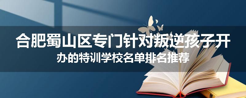 合肥蜀山区专门针对叛逆孩子开办的特训学校名单排名推荐