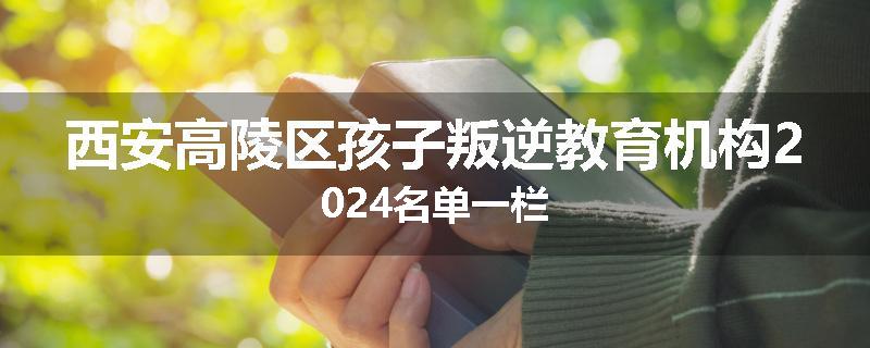 西安高陵区孩子叛逆教育机构2024名单一栏