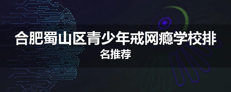 合肥蜀山区青少年戒网瘾学校排名推荐