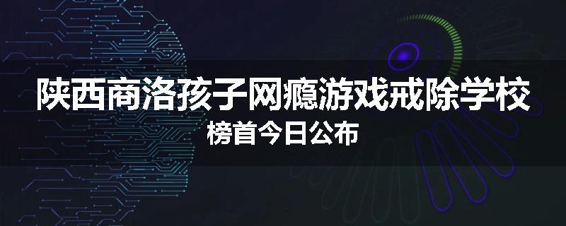 陕西商洛孩子网瘾游戏戒除学校榜首今日公布