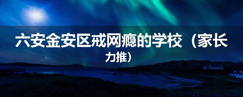 六安金安区戒网瘾的学校（家长力推）