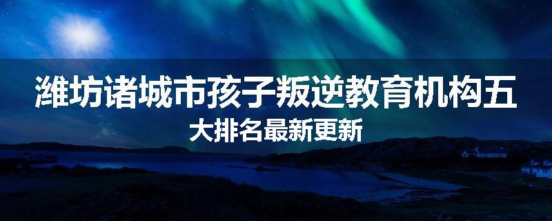 潍坊诸城市孩子叛逆教育机构五大排名最新更新