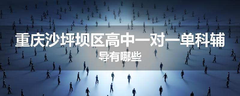 重庆沙坪坝区高中一对一单科辅导有哪些