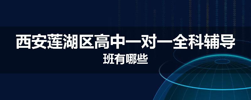 西安莲湖区高中一对一全科辅导班有哪些