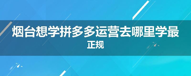 烟台想学拼多多运营去哪里学最正规