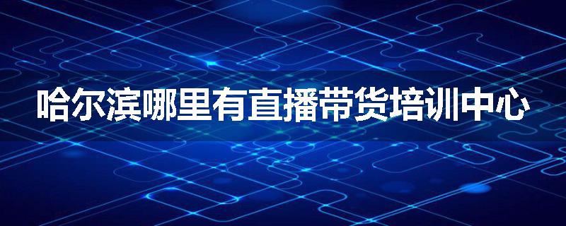 哈尔滨哪里有直播带货培训中心