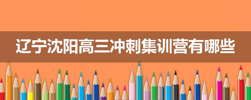 辽宁沈阳高三冲刺集训营有哪些