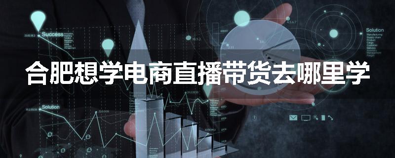 合肥想学电商直播带货去哪里学