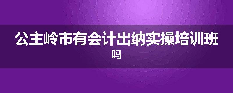 公主岭市有会计出纳实操培训班吗