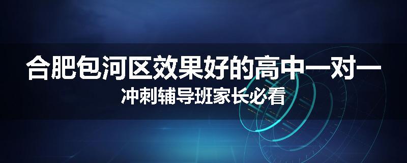 合肥包河区效果好的高中一对一冲刺辅导班家长必看