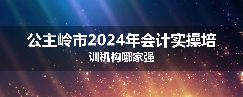 公主岭市2024年会计实操培训机构哪家强