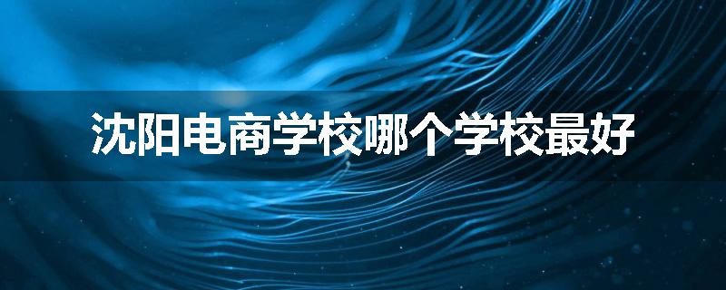 沈阳电商学校哪个学校最好