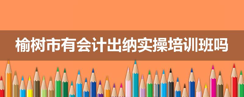 榆树市有会计出纳实操培训班吗