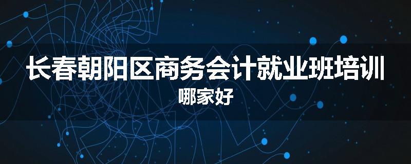 长春朝阳区商务会计就业班培训哪家好