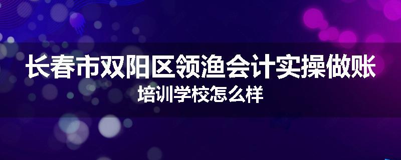 长春市双阳区领渔会计实操做账培训学校怎么样