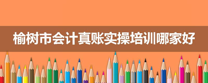 榆树市会计真账实操培训哪家好