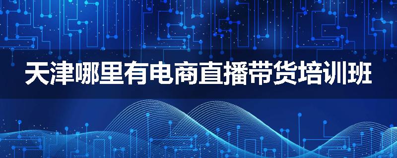 天津哪里有电商直播带货培训班