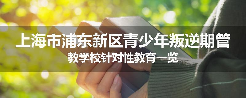上海市浦东新区青少年叛逆期管教学校针对性教育一览