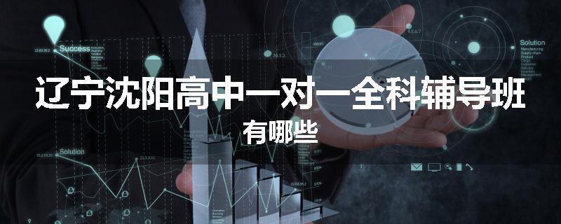 辽宁沈阳高中一对一全科辅导班有哪些
