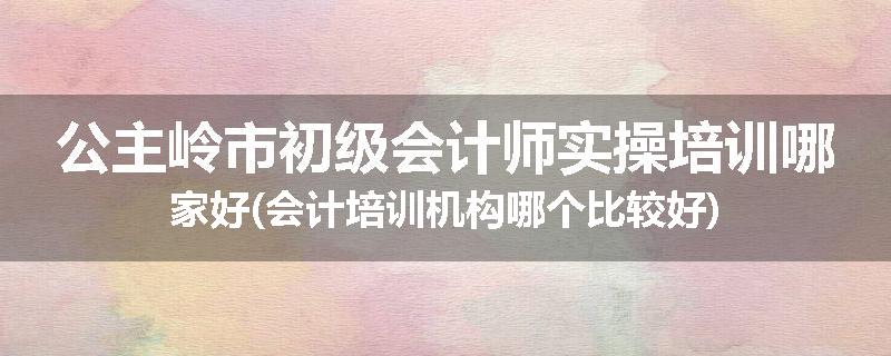 公主岭市初级会计师实操培训哪家好(会计培训机构哪个比较好)